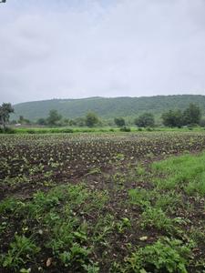 Image of 5500 Sq.ft Residential Plot / Land for sale in Mirjapur, Indore for Rs. 8500000