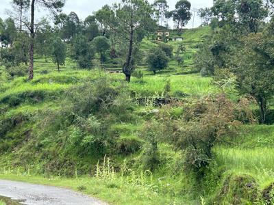 Image of 1800 Sq.ft Residential Plot / Land for sale in Airari, Ranikhet for Rs. 800000