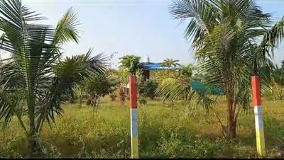 Image of 10000 Sq.ft Residential Plot / Land for sale in Madurantakam, Chennai for Rs. 4000000