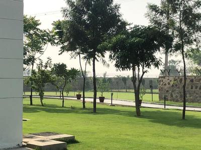 Image of 118 Sq.ft Residential Plot / Land for sale in Badsa, Jhajjar for Rs. 6400000