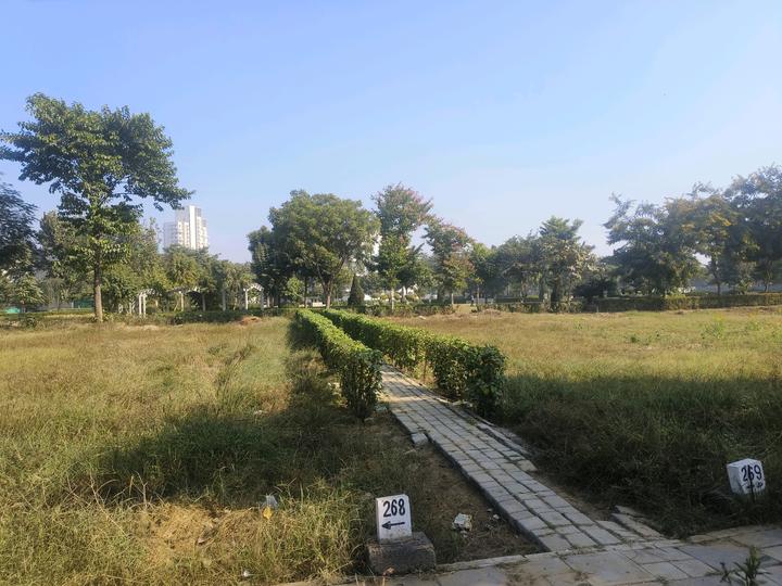 Sector 99 Main Image 1