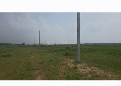 Image of 1500 Sq.ft Residential Plot / Land for sale in Raghunathpur, Bhubaneswar for Rs. 4800000