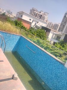 Swimming Pool Image of 5998 Sq.ft 5 BHK Villa for sale in SMR SMS Vinay Casa Carino, Sikanderguda Hyderabad for Rs. 89964000