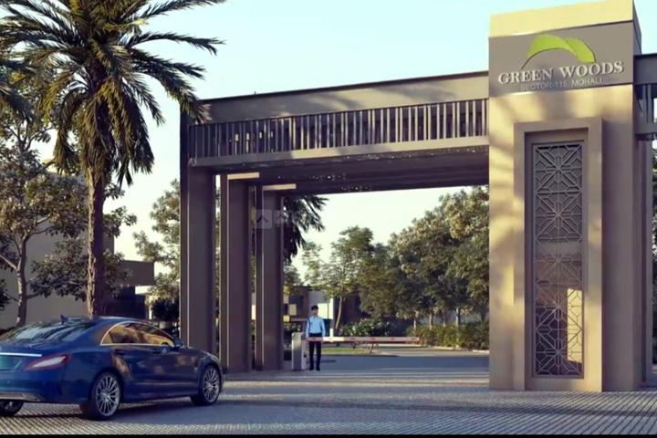 Cee Dee Greenwoods Main Image 1