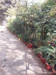 Balcony Image of 855 Sq.ft 2.5 BHK Builder Floor for sale in Sant Nirankari Colony RWA, Mukherjee Nagar New Delhi for Rs. 11000000