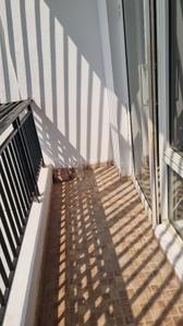 Image of 1635 Sq.ft 3 BHK Apartment / Flat for sale in Omaxe Residency II, Arjunganj, Lucknow for Rs. 9000000