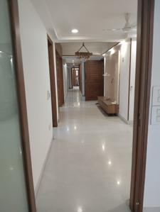 Hall Image of 4500 Sq.ft 4 BHK Builder Floor for rent in Maharani Bagh New Delhi for Rs. 350000