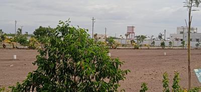 Image of 1500 Sq.ft Residential Plot / Land for sale in Sulur, Coimbatore for Rs. 1075000