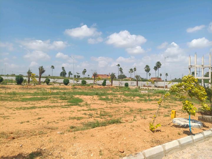 SGD Elite Main Image 1