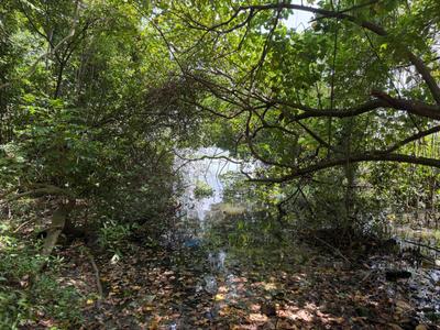 Keralarealty Plot View 2
