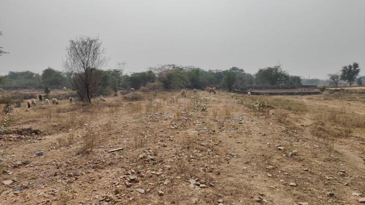 Jagatpura Main Image 1