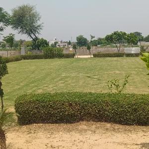 Bamrauli Katara Plot View 2