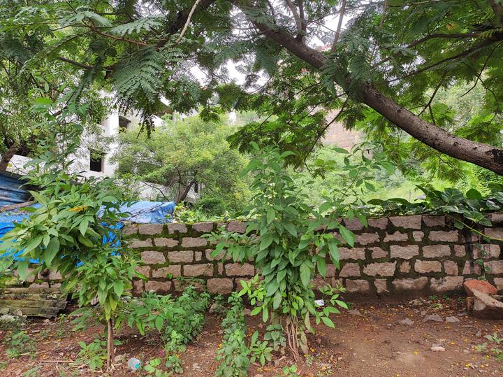 Residential 1450 Sqft Plot for sale at Jubilee Hills, Hyderabad