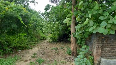 Image of 5400 Sq.ft Residential Plot / Land for sale in Sultanpur Road, Lucknow for Rs. 21600000