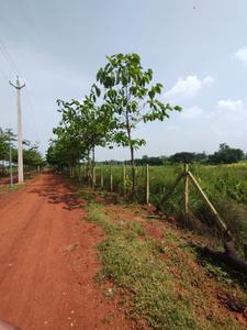 Image of 7000 Sq.ft 2 BHK Farm House for sale in Kumhari, Bhilai for Rs. 3160000
