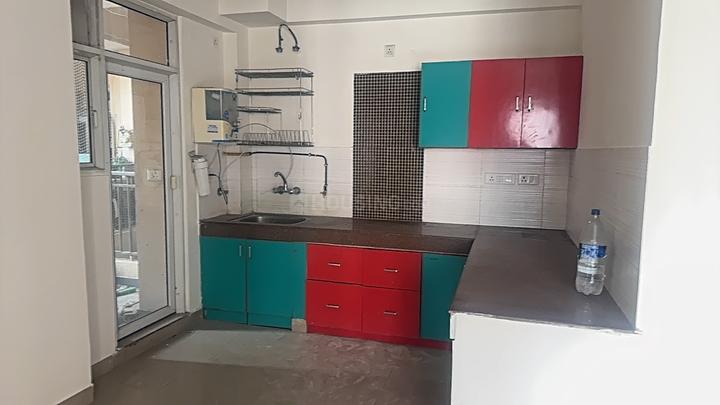 Exotica Dreamville Main Image 1