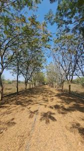Image of 1250 Sq.ft Residential Plot / Land for sale in Old Dhamtari Road, Raipur for Rs. 1498000