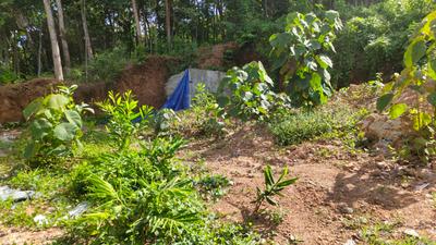 Image of 3050 Sq.ft Residential Plot / Land for sale in Peyad, Thiruvananthapuram for Rs. 1200000