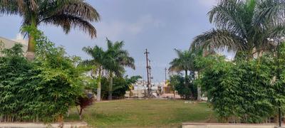 Image of 1880 Sq.ft 3 BHK Duplex for rent in NM London Villas Apartment, Bhawrasla, Indore for Rs. 20000