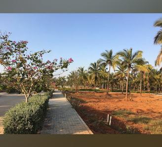 Image of 1575 Sq.ft Residential Plot / Land for sale in Shriram Rain Forest, Nagamangala, Bengaluru for Rs. 12500000