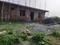 Chandchak, Banjarawala Main Image 1