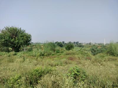 Image of 1152 Sq.ft Residential Plot / Land for sale in Tajupur, Faridabad for Rs. 13000000