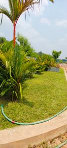 Kakkanad Plot View 1