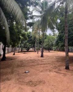 Image of 21000 Sq.ft Residential Plot / Land for sale in Injambakkam, Chennai for Rs. 360000000