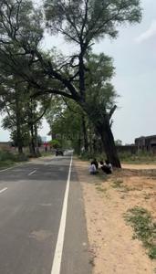 Image of 1125 Sq.ft Residential Plot / Land for sale in VKS Palm Drive, Pataudi, Gurgaon for Rs. 10620000
