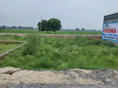 Residential Plot