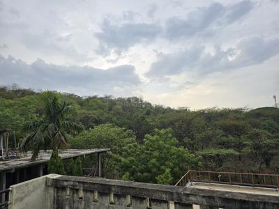 Image of 550 Sq.ft 2 BHK Builder Floor for sale in Gulmohar Colony, Bhopal for Rs. 2200000