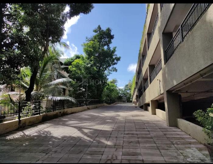 DLH Orchid Main Image 1