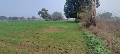 Image of 5000 Sq.ft Residential Plot / Land for sale in Ajayabpur, Greater Noida for Rs. 55000000