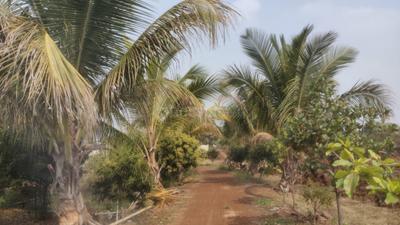 Image of 11500 Sq.ft Residential Plot / Land for sale in Kathadih, Raipur for Rs. 5750000
