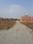 Adarsh Kashi Plot View 2