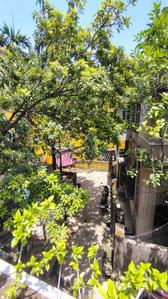 Image of 850 Sq.ft 3 BHK Independent House for sale in Airport Gate no. 1, Kolkata for Rs. 5000000
