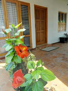 Image of 1500 Sq.ft 2.5 BHK Independent House for rent in Bogadi, Mysore for Rs. 40000