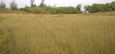 Image of 80000 Sq.ft Residential Plot / Land for sale in Korlai, Alibag for Rs. 56000000