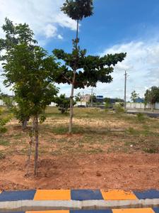 shanmuga garden muthur Plot View 3