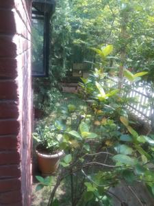 Balcony Image of 2500 Sq.ft 3 BHK Villa for rent in Shree Bal Kapil Malhar, Baner Pune for Rs. 67000