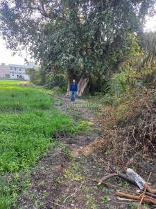 Image of 10441 Sq.ft Residential Plot / Land for sale in Rau, Indore for Rs. 20882000