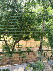 Image of 1500 Sq.ft 3 BHK Apartment / Flat for rent in Alaknanda, New Delhi for Rs. 69000