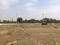 MS Developers Plot View 1