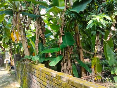 Gopalpur Gram Plot View 2