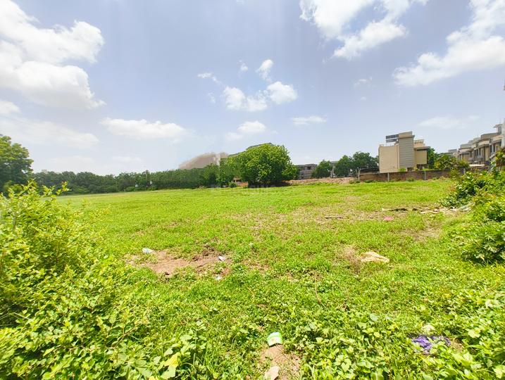 Bhayli Main Image 1