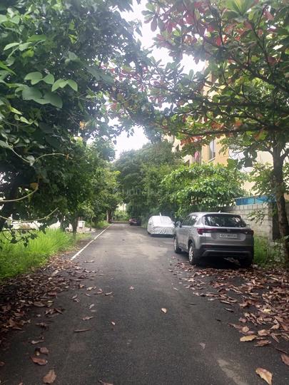 Classic Paradise Main Image 1