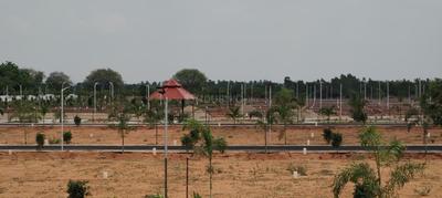Image of 1200 Sq.ft Residential Plot / Land for sale in Trichy, Tiruchirappalli for Rs. 1000000