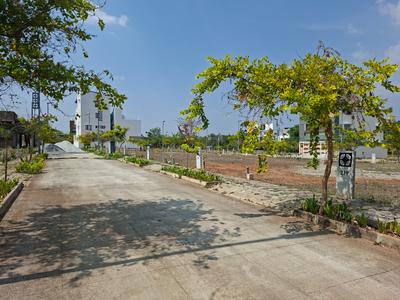 BVL Premio Phase 2 Plot View 2