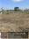 Sulur Main Image 1