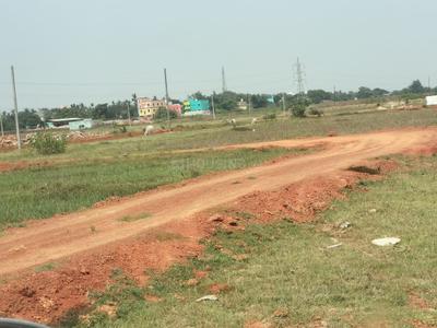 Patrapada Plot View 3